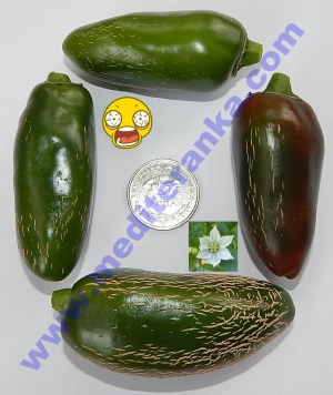 Jalapeno